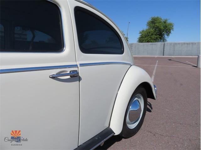 1962 Volkswagen Beetle (CC-2087618) for sale in Mesa, Arizona