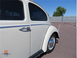 1962 Volkswagen Beetle (CC-2087618) for sale in Mesa, Arizona