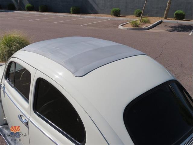 1962 Volkswagen Beetle (CC-2087618) for sale in Mesa, Arizona