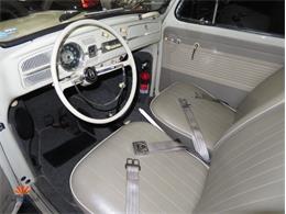 1962 Volkswagen Beetle (CC-2087618) for sale in Mesa, Arizona