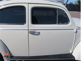 1962 Volkswagen Beetle (CC-2087618) for sale in Mesa, Arizona