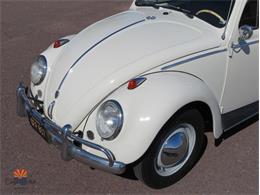 1962 Volkswagen Beetle (CC-2087618) for sale in Mesa, Arizona