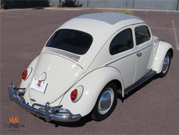 1962 Volkswagen Beetle (CC-2087618) for sale in Mesa, Arizona