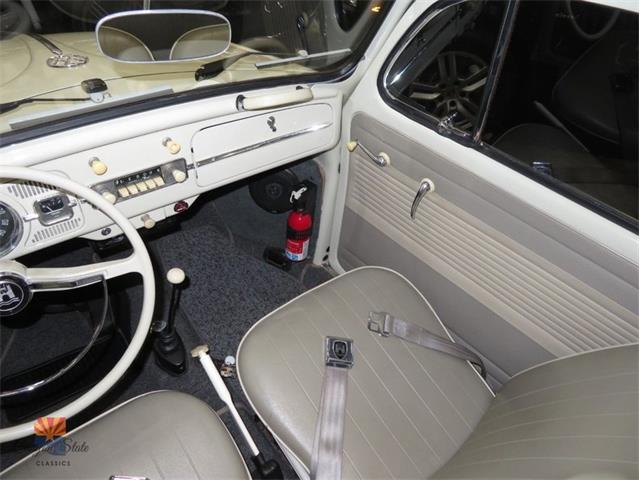 1962 Volkswagen Beetle (CC-2087618) for sale in Mesa, Arizona