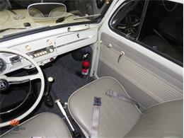 1962 Volkswagen Beetle (CC-2087618) for sale in Mesa, Arizona