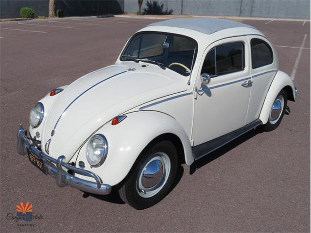 1962 Volkswagen Beetle (CC-2087618) for sale in Mesa, Arizona