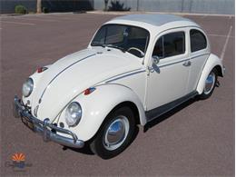 1962 Volkswagen Beetle (CC-2087618) for sale in Mesa, Arizona