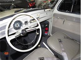 1962 Volkswagen Beetle (CC-2087618) for sale in Mesa, Arizona