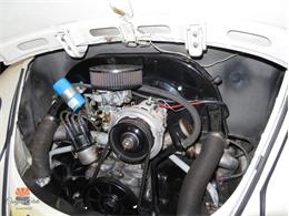 1962 Volkswagen Beetle (CC-2087618) for sale in Mesa, Arizona