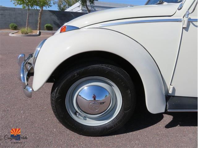 1962 Volkswagen Beetle (CC-2087618) for sale in Mesa, Arizona