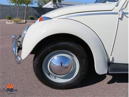 1962 Volkswagen Beetle (CC-2087618) for sale in Mesa, Arizona