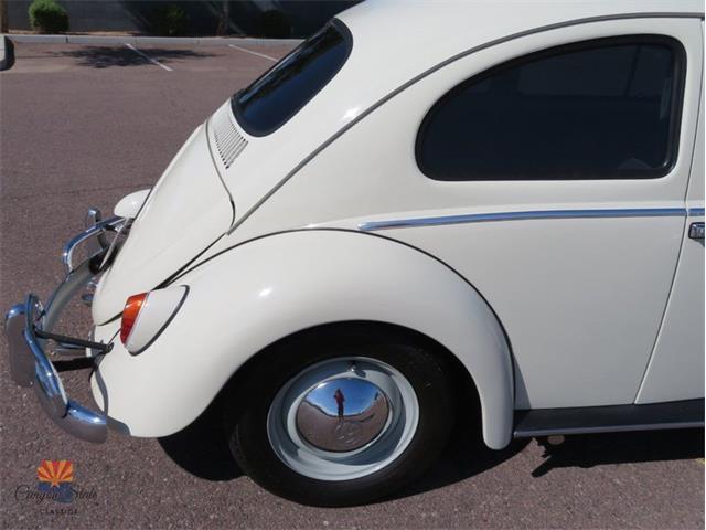 1962 Volkswagen Beetle (CC-2087618) for sale in Mesa, Arizona