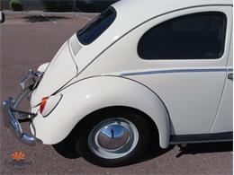 1962 Volkswagen Beetle (CC-2087618) for sale in Mesa, Arizona