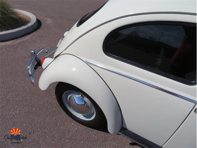 1962 Volkswagen Beetle (CC-2087618) for sale in Mesa, Arizona