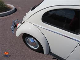 1962 Volkswagen Beetle (CC-2087618) for sale in Mesa, Arizona