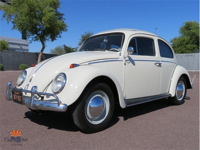 1962 Volkswagen Beetle (CC-2087618) for sale in Mesa, Arizona