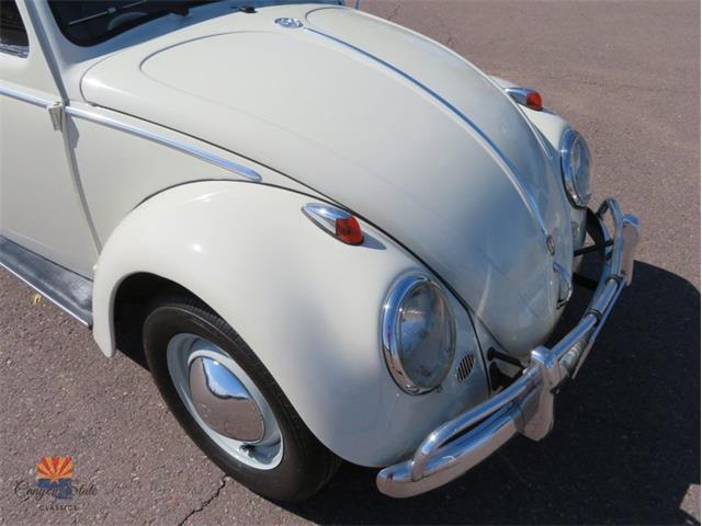 1962 Volkswagen Beetle (CC-2087618) for sale in Mesa, Arizona