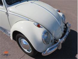 1962 Volkswagen Beetle (CC-2087618) for sale in Mesa, Arizona