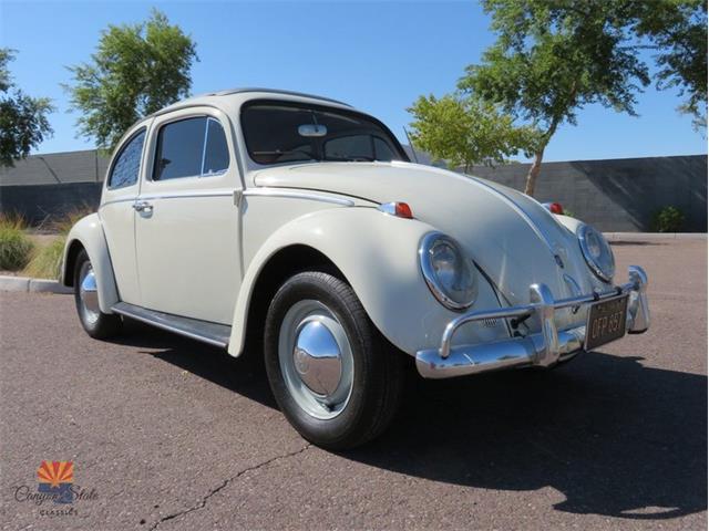 1962 Volkswagen Beetle (CC-2087618) for sale in Mesa, Arizona