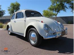 1962 Volkswagen Beetle (CC-2087618) for sale in Mesa, Arizona
