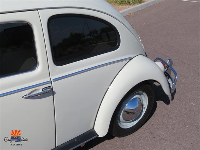 1962 Volkswagen Beetle (CC-2087618) for sale in Mesa, Arizona