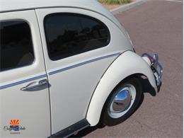 1962 Volkswagen Beetle (CC-2087618) for sale in Mesa, Arizona