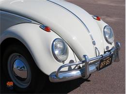 1962 Volkswagen Beetle (CC-2087618) for sale in Mesa, Arizona