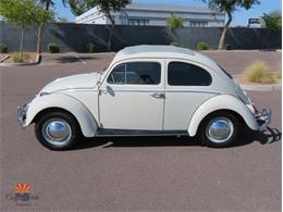 1962 Volkswagen Beetle (CC-2087618) for sale in Mesa, Arizona