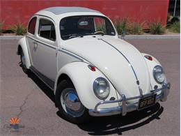 1962 Volkswagen Beetle (CC-2087618) for sale in Mesa, Arizona