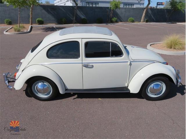 1962 Volkswagen Beetle (CC-2087618) for sale in Mesa, Arizona