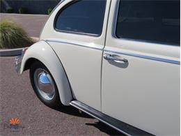 1962 Volkswagen Beetle (CC-2087618) for sale in Mesa, Arizona