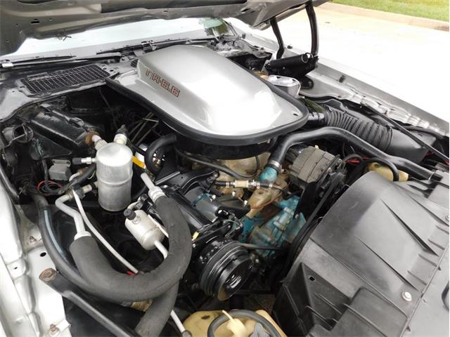 1979 Pontiac Firebird Trans Am (CC-2087648) for sale in Fenton, Missouri