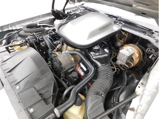1979 Pontiac Firebird Trans Am (CC-2087648) for sale in Fenton, Missouri