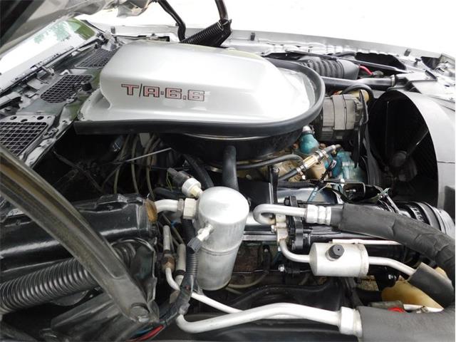 1979 Pontiac Firebird Trans Am (CC-2087648) for sale in Fenton, Missouri