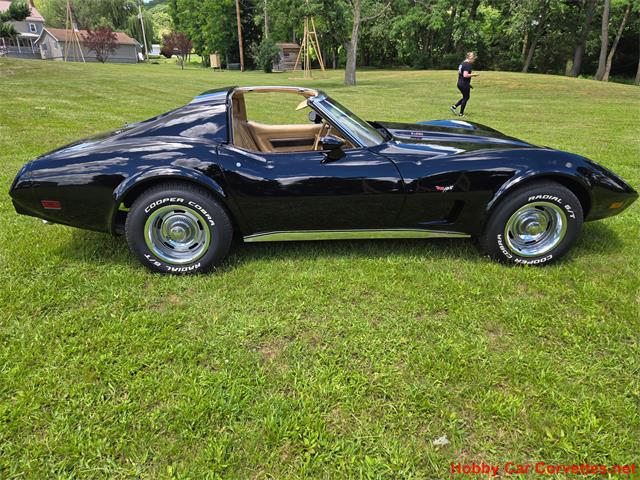 1977 Chevrolet Corvette (CC-2087691) for sale in MARTINSBURG, Pennsylvania