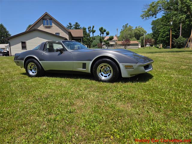 1981 Chevrolet Corvette (CC-2087693) for sale in MARTINSBURG, Pennsylvania