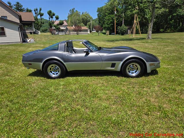 1981 Chevrolet Corvette (CC-2087693) for sale in MARTINSBURG, Pennsylvania