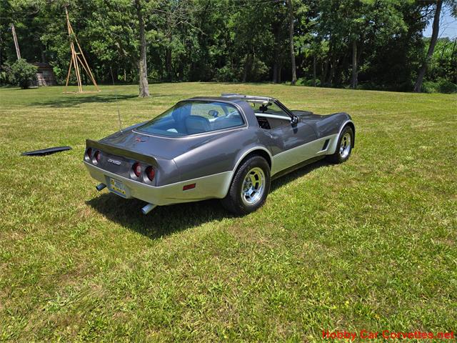 1981 Chevrolet Corvette (CC-2087693) for sale in MARTINSBURG, Pennsylvania
