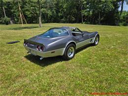 1981 Chevrolet Corvette (CC-2087693) for sale in MARTINSBURG, Pennsylvania