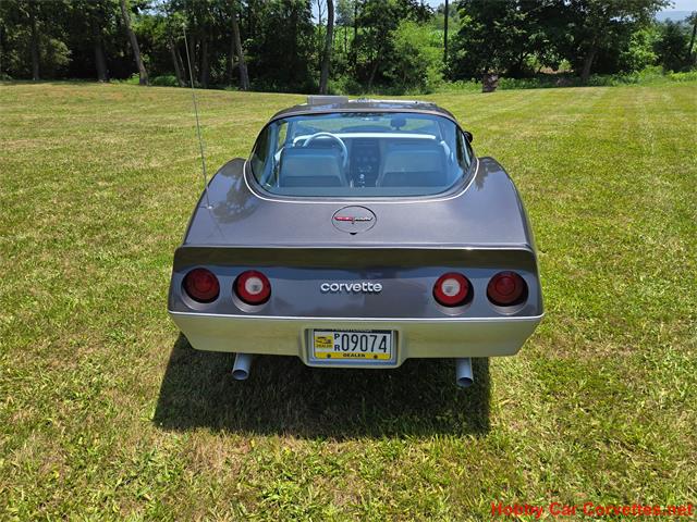 1981 Chevrolet Corvette (CC-2087693) for sale in MARTINSBURG, Pennsylvania