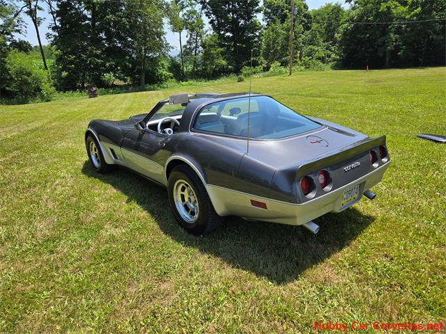 1981 Chevrolet Corvette (CC-2087693) for sale in MARTINSBURG, Pennsylvania