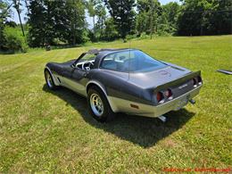 1981 Chevrolet Corvette (CC-2087693) for sale in MARTINSBURG, Pennsylvania
