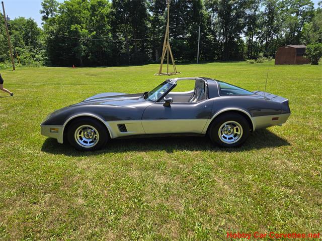 1981 Chevrolet Corvette (CC-2087693) for sale in MARTINSBURG, Pennsylvania