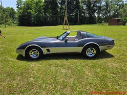 1981 Chevrolet Corvette (CC-2087693) for sale in MARTINSBURG, Pennsylvania