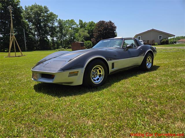 1981 Chevrolet Corvette (CC-2087693) for sale in MARTINSBURG, Pennsylvania