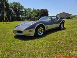 1981 Chevrolet Corvette (CC-2087693) for sale in MARTINSBURG, Pennsylvania