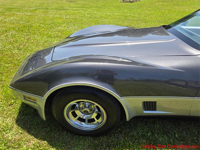 1981 Chevrolet Corvette (CC-2087693) for sale in MARTINSBURG, Pennsylvania
