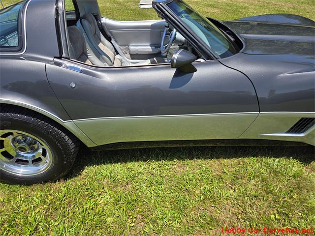 1981 Chevrolet Corvette (CC-2087693) for sale in MARTINSBURG, Pennsylvania
