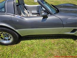 1981 Chevrolet Corvette (CC-2087693) for sale in MARTINSBURG, Pennsylvania