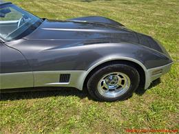 1981 Chevrolet Corvette (CC-2087693) for sale in MARTINSBURG, Pennsylvania